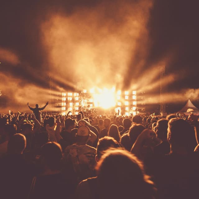 Concert audience silhouette